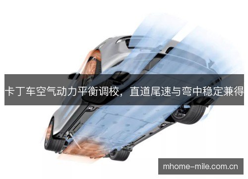 卡丁车空气动力平衡调校,直道尾速与弯中稳定兼得 卡丁车空气动力平衡调校,直道尾速与弯中稳定兼得
